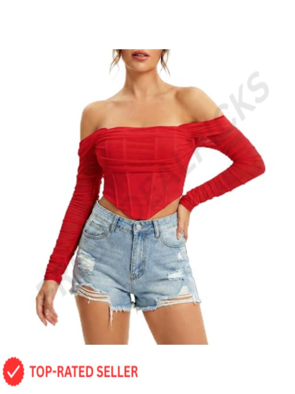 Long Sleeve Corset Top Off Shoulder Y2K Bustier Crop Zip Mesh